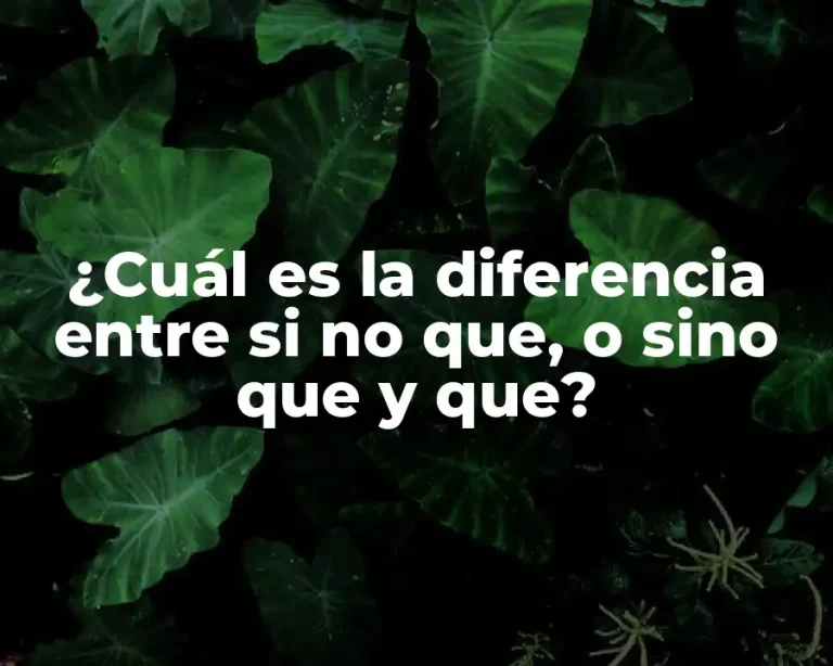 ¿Cuál es la diferencia entre si no que, o sino que y que?