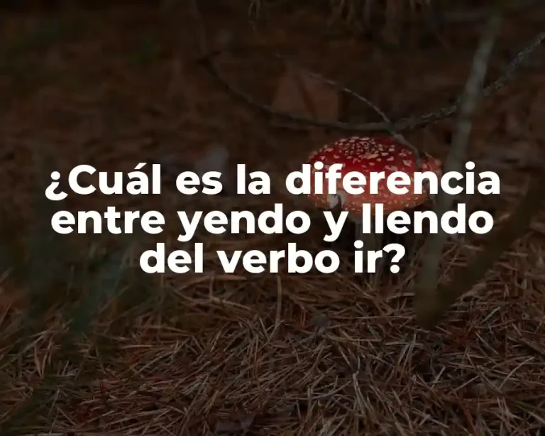 ¿Cuál es la diferencia entre yendo y llendo del verbo ir?