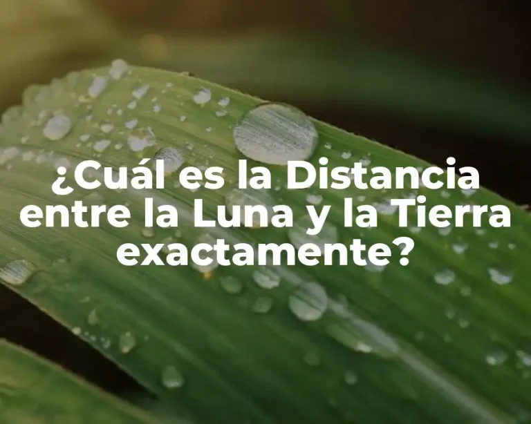 ¿Cuál es la Distancia entre la Luna y la Tierra exactamente?