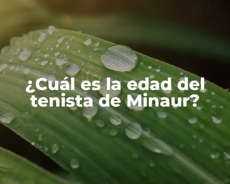 ¿Cuál es la edad del tenista de Minaur?