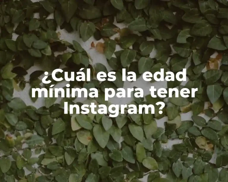 ¿Cuál es la edad mínima para tener Instagram?