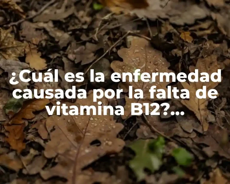 ¿Cuál es la enfermedad causada por la falta de vitamina B12? Deficiencia de Vitamina B12