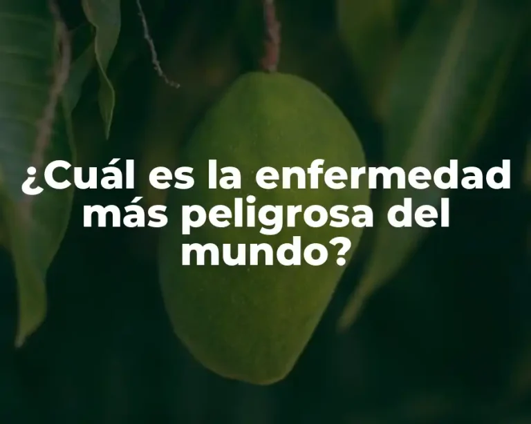 ¿Cuál es la enfermedad más peligrosa del mundo?