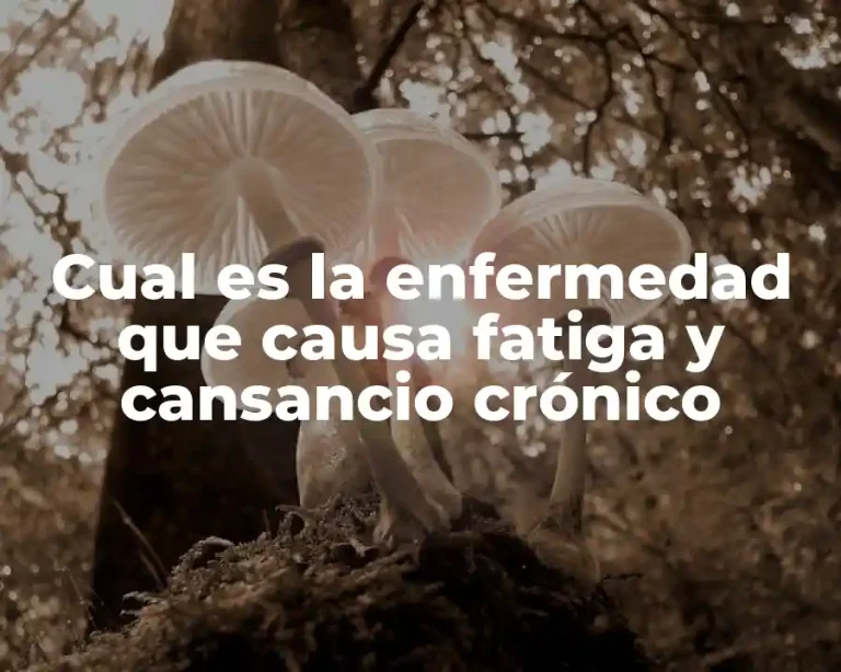 Cual es la enfermedad que causa fatiga y cansancio crónico