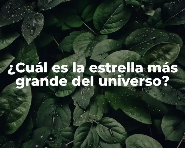 ¿Cuál es la estrella más grande del universo?