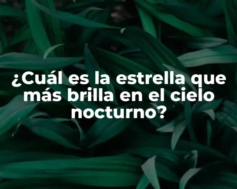 ¿Cuál es la estrella que más brilla en el cielo nocturno?