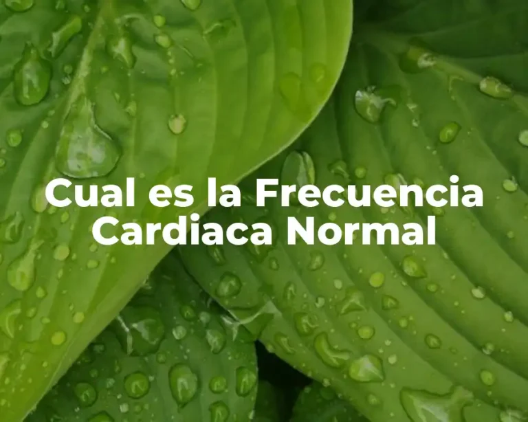 Cual es la Frecuencia Cardiaca Normal