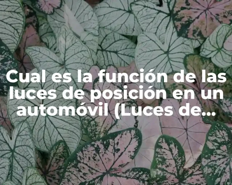 Cual es la función de las luces de posición en un automóvil (Luces de posición automóvil)