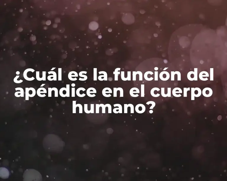 ¿Cuál es la función del apéndice en el cuerpo humano?