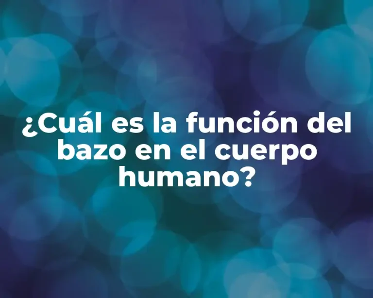 ¿Cuál es la función del bazo en el cuerpo humano?