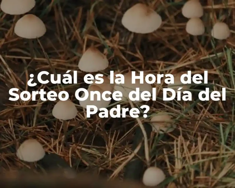 ¿Cuál es la Hora del Sorteo Once del Día del Padre?