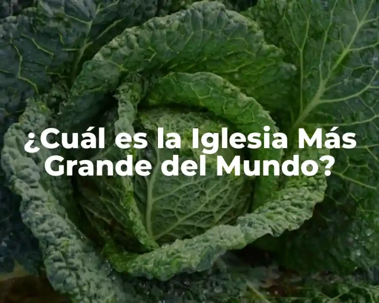 ¿Cuál es la Iglesia Más Grande del Mundo?