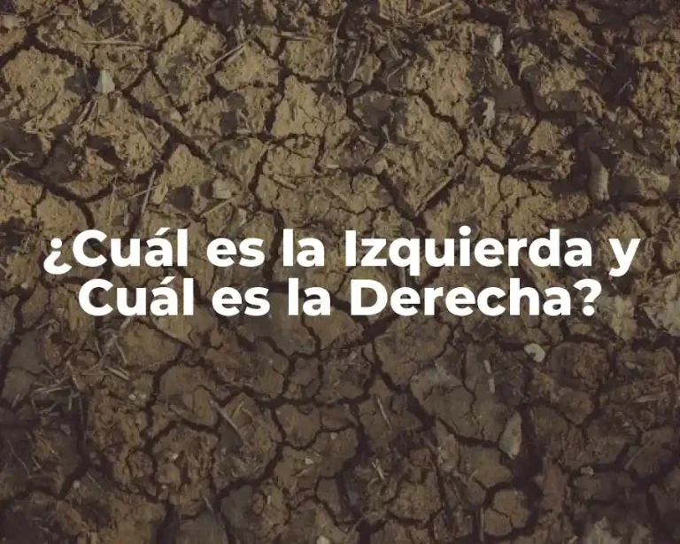¿Cuál es la Izquierda y Cuál es la Derecha?