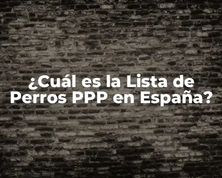 ¿Cuál es la Lista de Perros PPP en España?