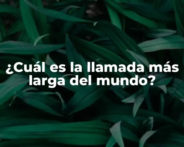 ¿Cuál es la llamada más larga del mundo?