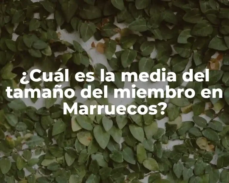 ¿Cuál es la media del tamaño del miembro en Marruecos?