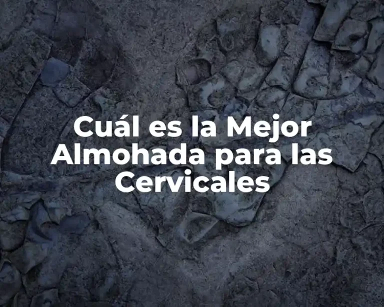 Cuál es la Mejor Almohada para las Cervicales