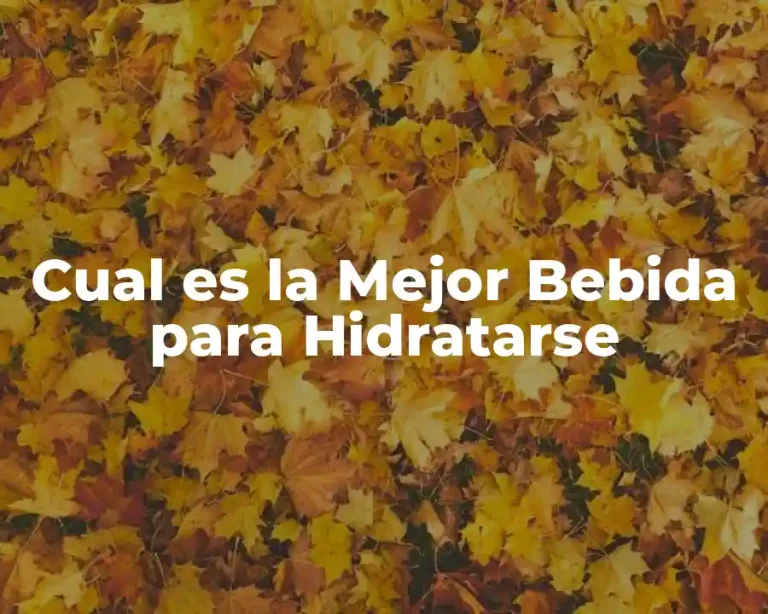 Cual es la Mejor Bebida para Hidratarse