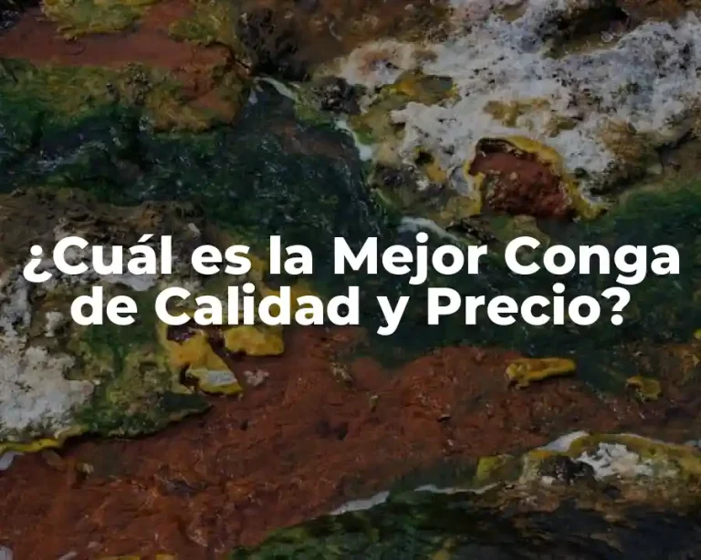 ¿Cuál es la Mejor Conga de Calidad y Precio?