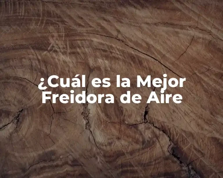 ¿Cuál es la Mejor Freidora de Aire