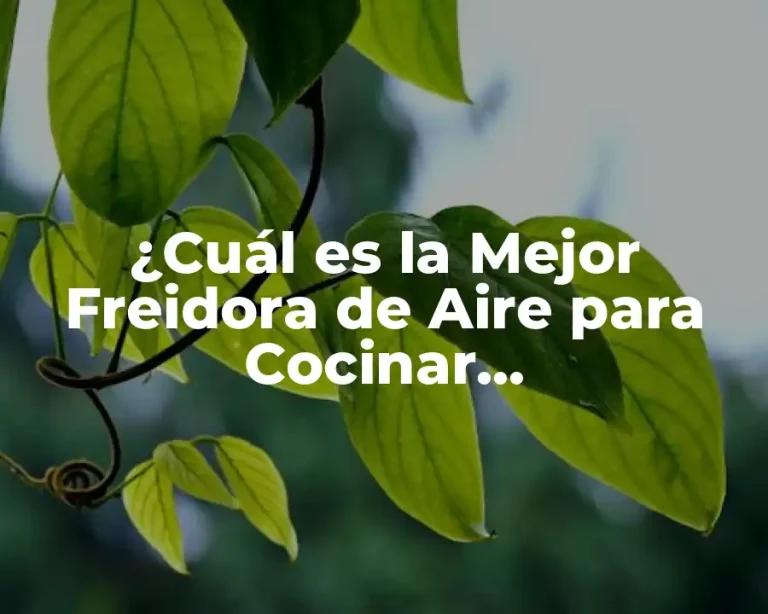 ¿Cuál es la Mejor Freidora de Aire para Cocinar Saludablemente?