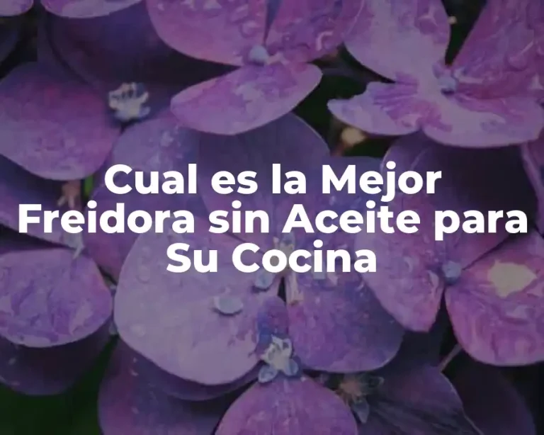 Cual es la Mejor Freidora sin Aceite para Su Cocina