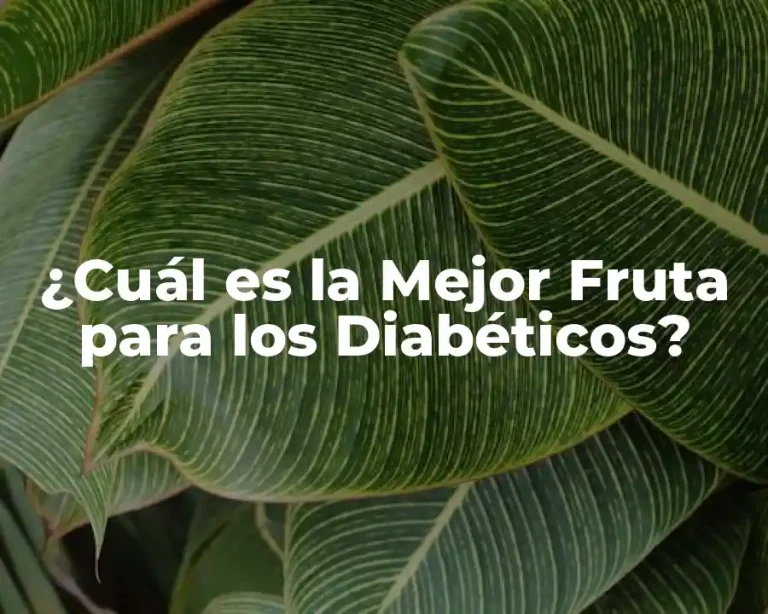 ¿Cuál es la Mejor Fruta para los Diabéticos?