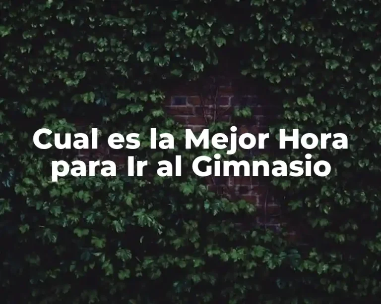 Cual es la Mejor Hora para Ir al Gimnasio