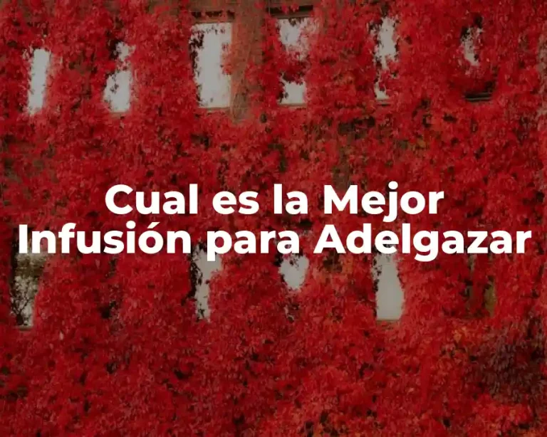 Cual es la Mejor Infusión para Adelgazar