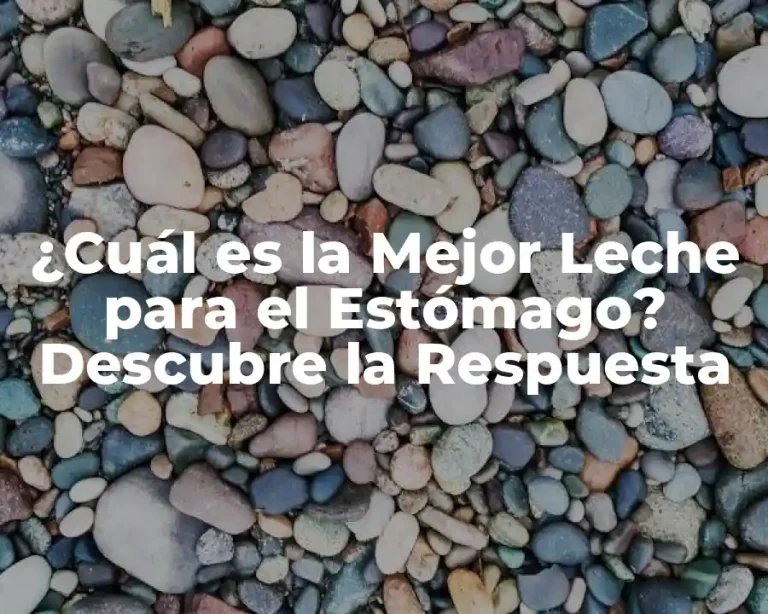 ¿Cuál es la Mejor Leche para el Estómago? Descubre la Respuesta