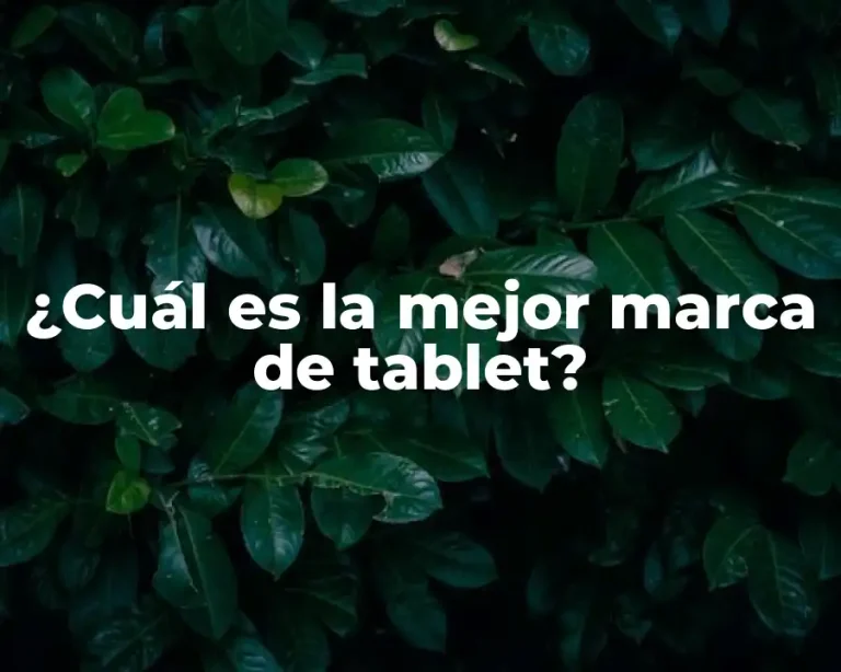 ¿Cuál es la mejor marca de tablet?
