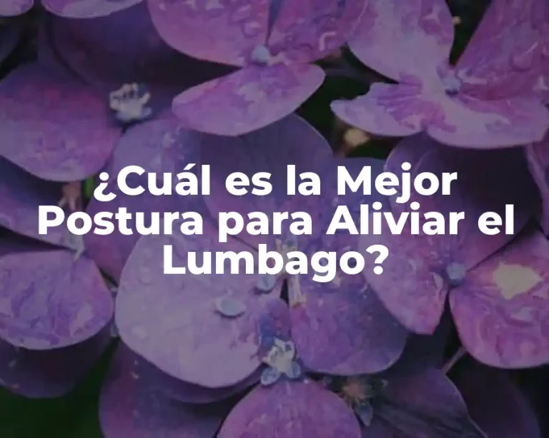 ¿Cuál es la Mejor Postura para Aliviar el Lumbago?