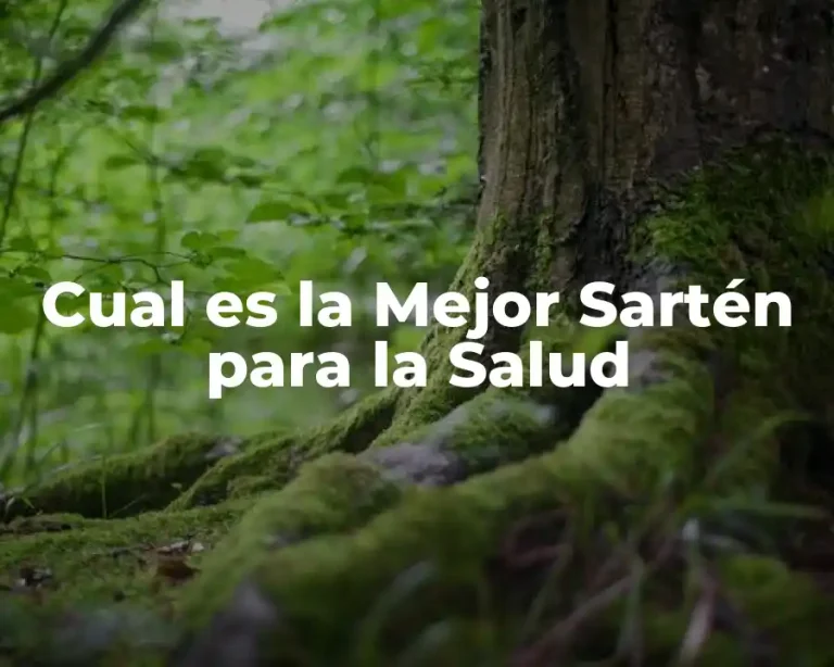 Cual es la Mejor Sartén para la Salud