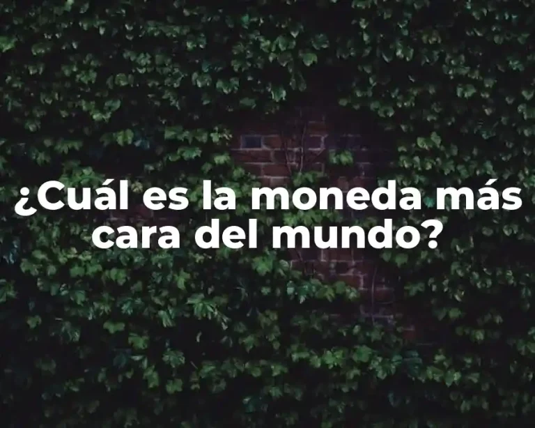 ¿Cuál es la moneda más cara del mundo?