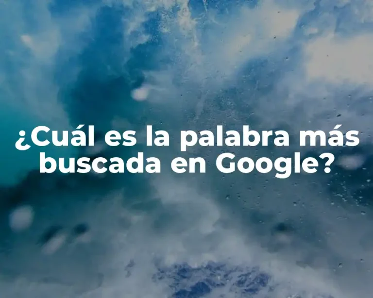 ¿Cuál es la palabra más buscada en Google?