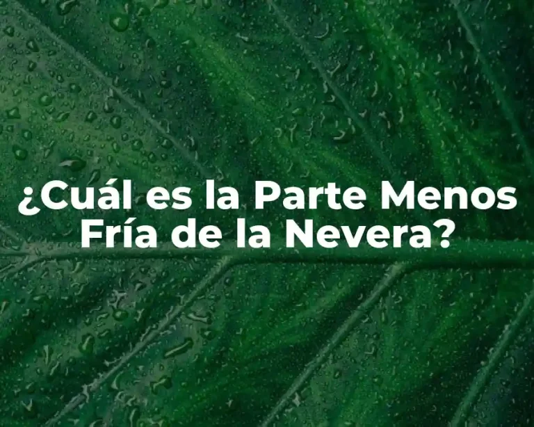 ¿Cuál es la Parte Menos Fría de la Nevera?