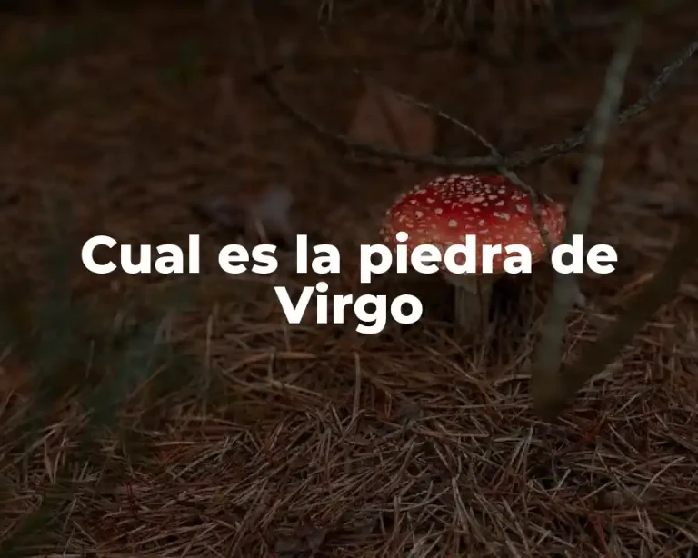 Cual es la piedra de Virgo
