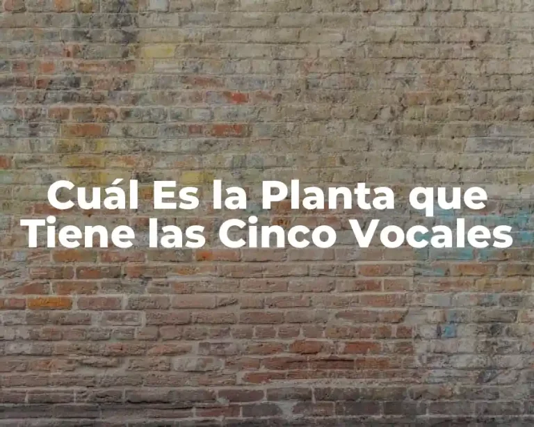 Cuál Es la Planta que Tiene las Cinco Vocales