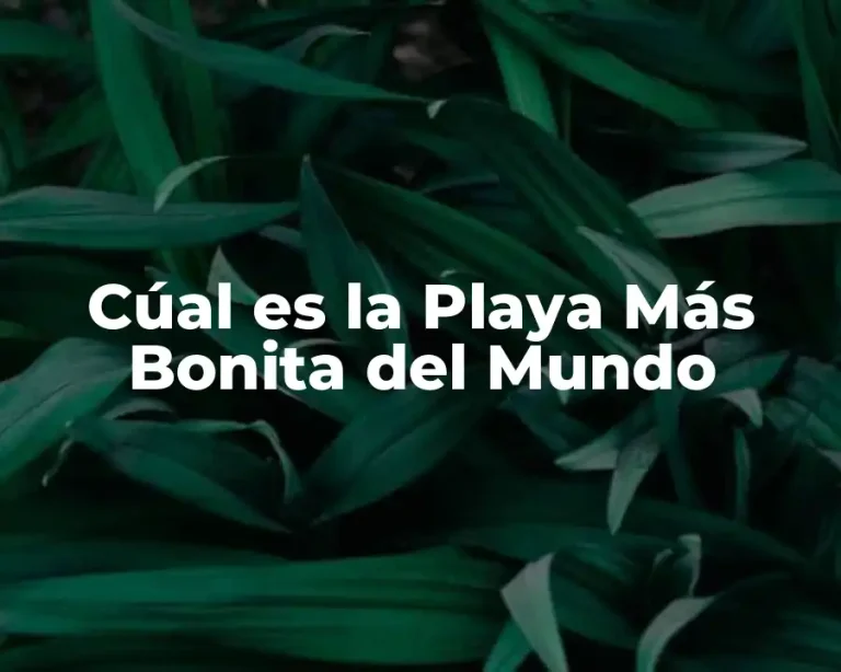 Cúal es la Playa Más Bonita del Mundo