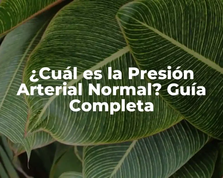 ¿Cuál es la Presión Arterial Normal? Guía Completa