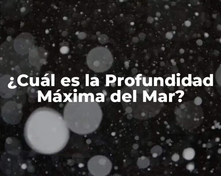 ¿Cuál es la Profundidad Máxima del Mar?