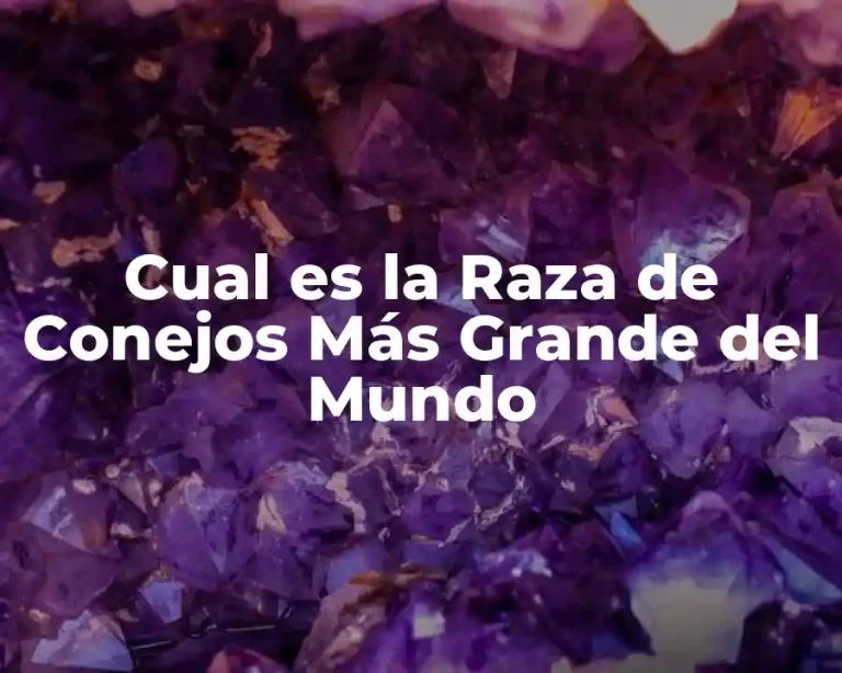 Cual es la Raza de Conejos Más Grande del Mundo