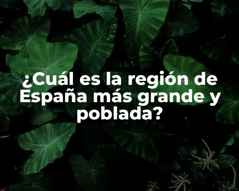 ¿Cuál es la región de España más grande y poblada?