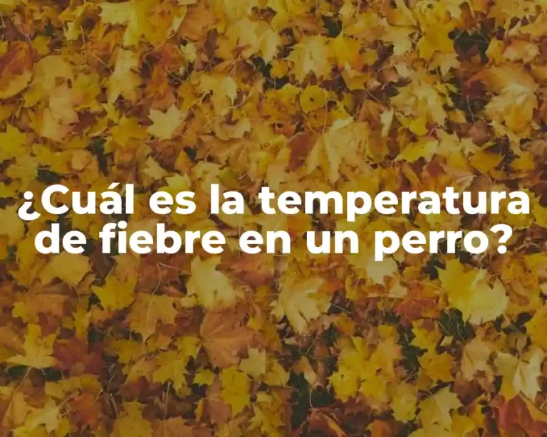 ¿Cuál es la temperatura de fiebre en un perro?