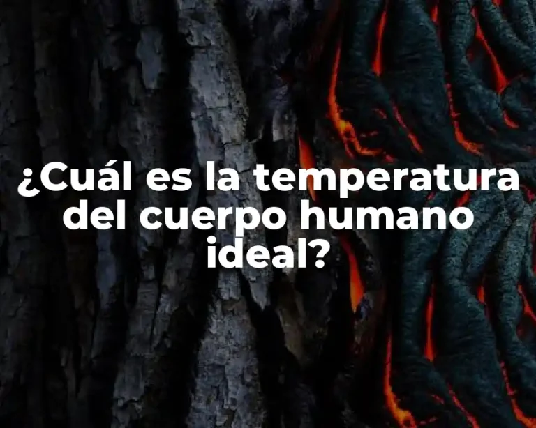 ¿Cuál es la temperatura del cuerpo humano ideal?