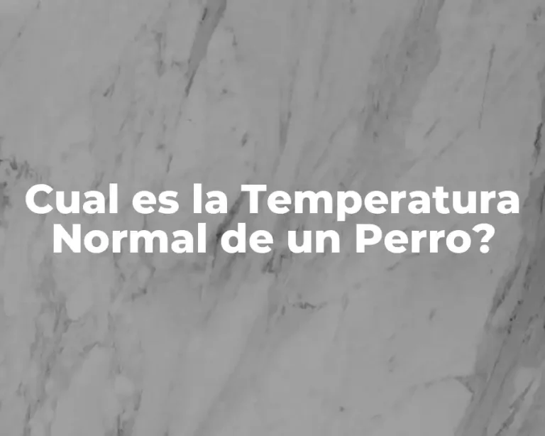 Cual es la Temperatura Normal de un Perro?
