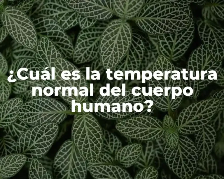 ¿Cuál es la temperatura normal del cuerpo humano?