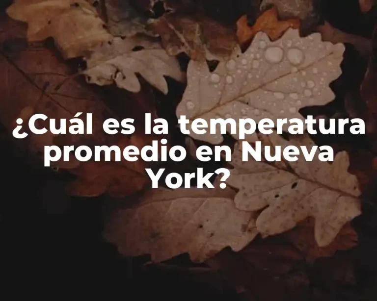 ¿Cuál es la temperatura promedio en Nueva York?
