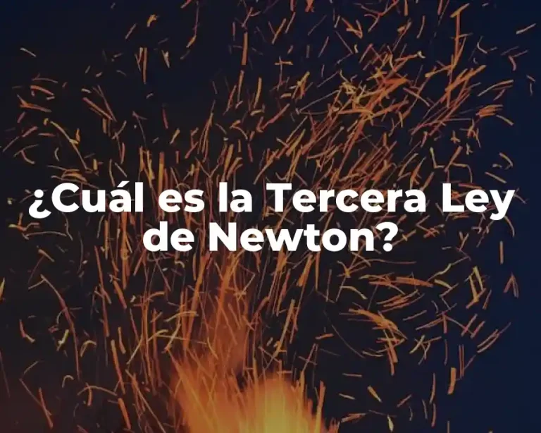 ¿Cuál es la Tercera Ley de Newton?