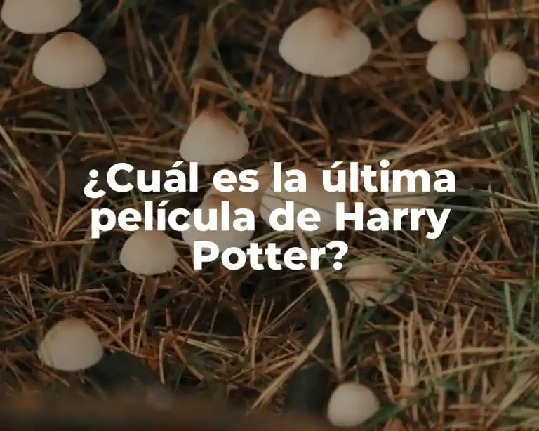 ¿Cuál es la última película de Harry Potter?